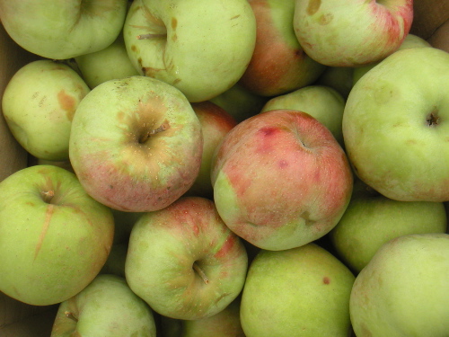 Blanches Apple Pie.jpg