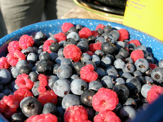 Blueberry Raspberry Pie.jpg