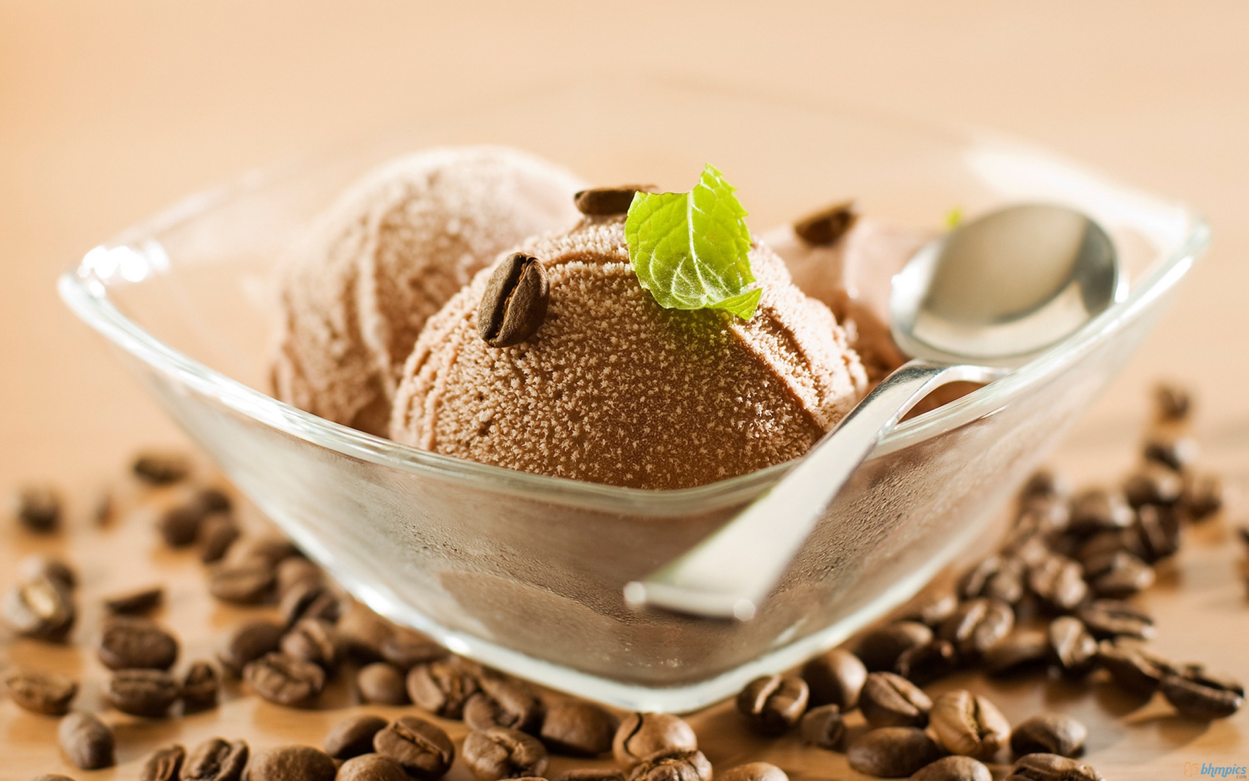 Coffee Ice Cream (Mud Pie).jpg