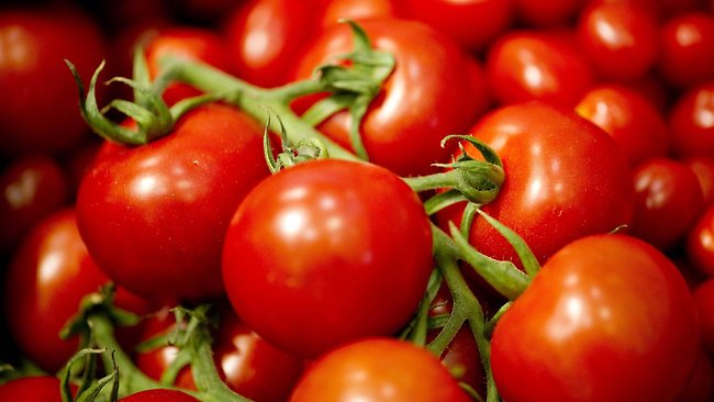 Tomato Soup_0.jpg