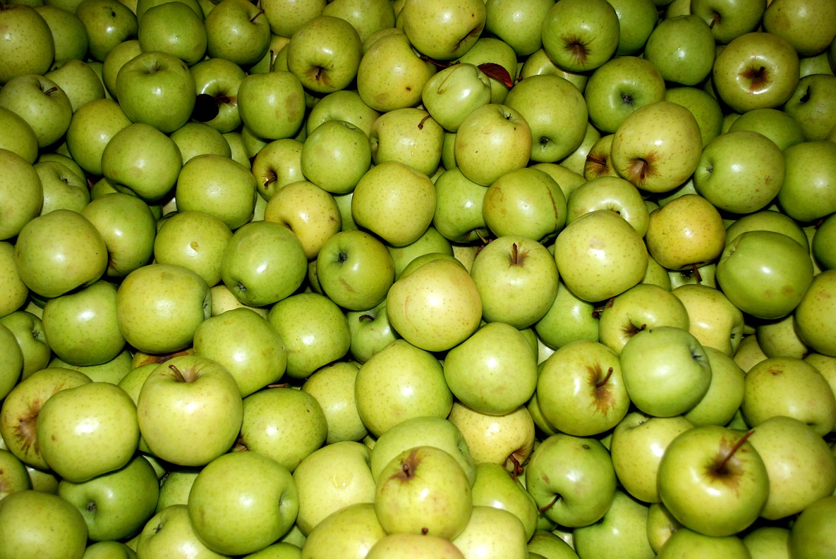 William-Vann-green (blank apple pie alana barton).jpg