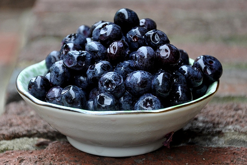 high bush blueberry pie.jpg
